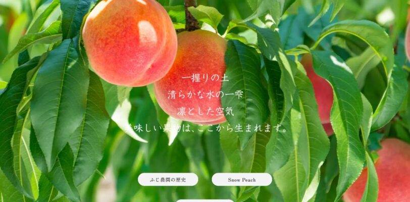 山梨県笛吹市の桃農園ECサイト